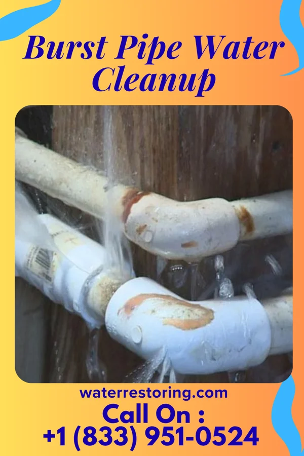 Burst Pipe Water Cleanup in Carroll, OH