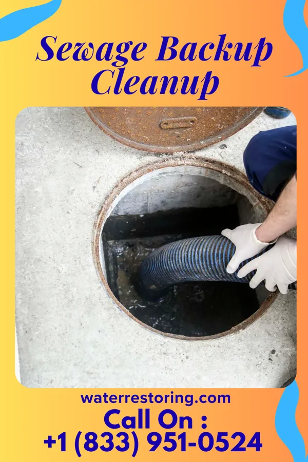 Sewage Backup Cleanup in Carroll, OH