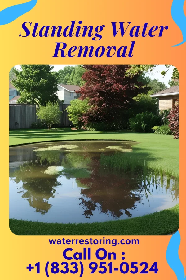 Standing Water Removal in Carroll, OH